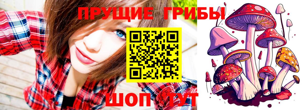 Галлюциногенные грибы мухоморы Малгобек
