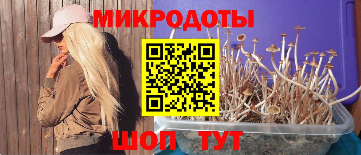 Малгобек  Галлюциногенные грибы Magic Shrooms  Псилоцибиновые грибы Psilocybe  Вход с VPN 