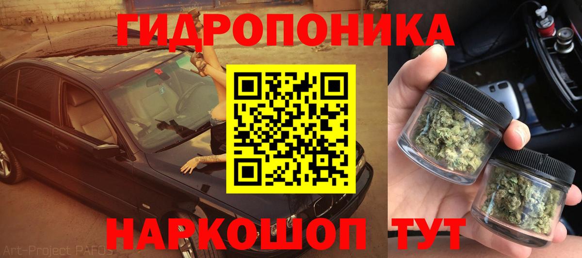 Малгобек  Конопля сатива  Вход с VPN  Бошки Шишки AK-47 